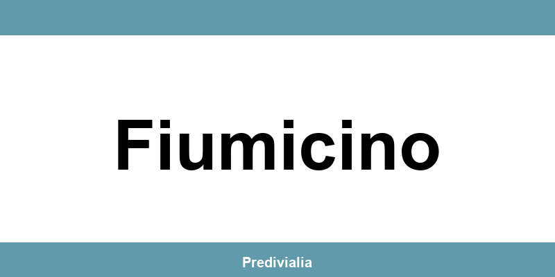 Telefono del Patronato ACLI a Fiumicino