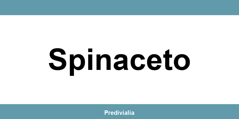 Telefono del Patronato ACLI a Spinaceto